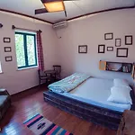 Auberge de jeunesse Trip'n'hostel *