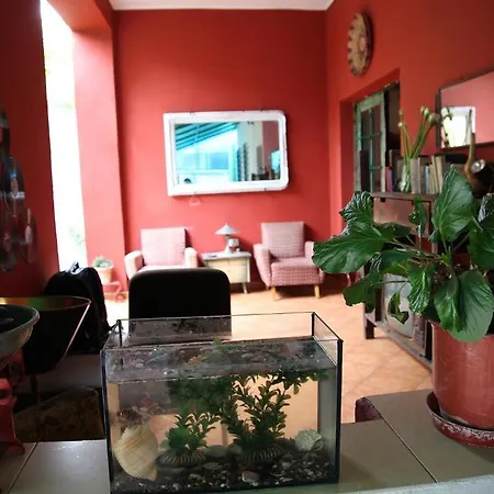 Trip'n'hostel Albergue