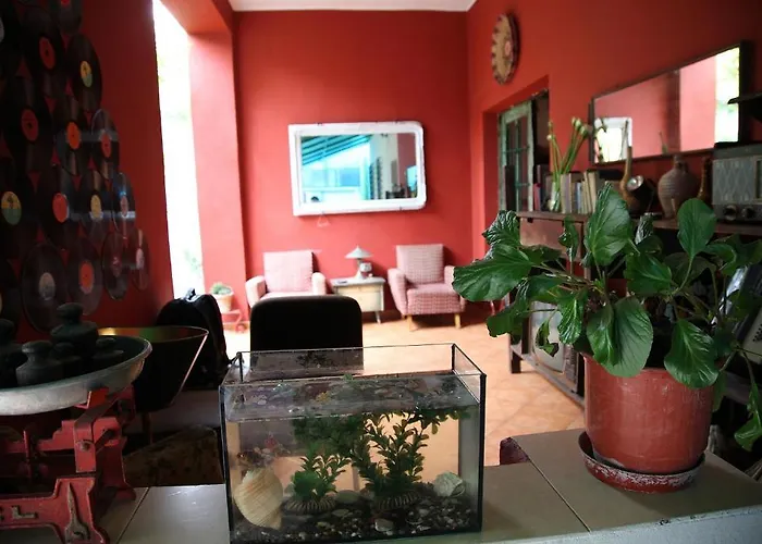 Trip'n'hostel Auberge de jeunesse