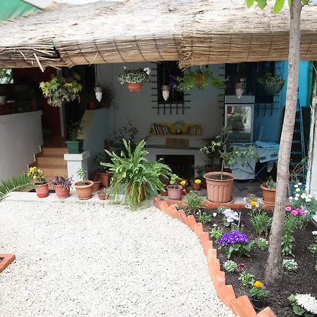 Hostel Trip'n'hostel Tirana