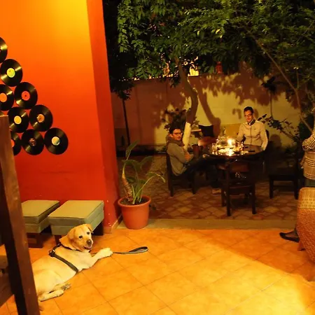 Trip'n'hostel *
